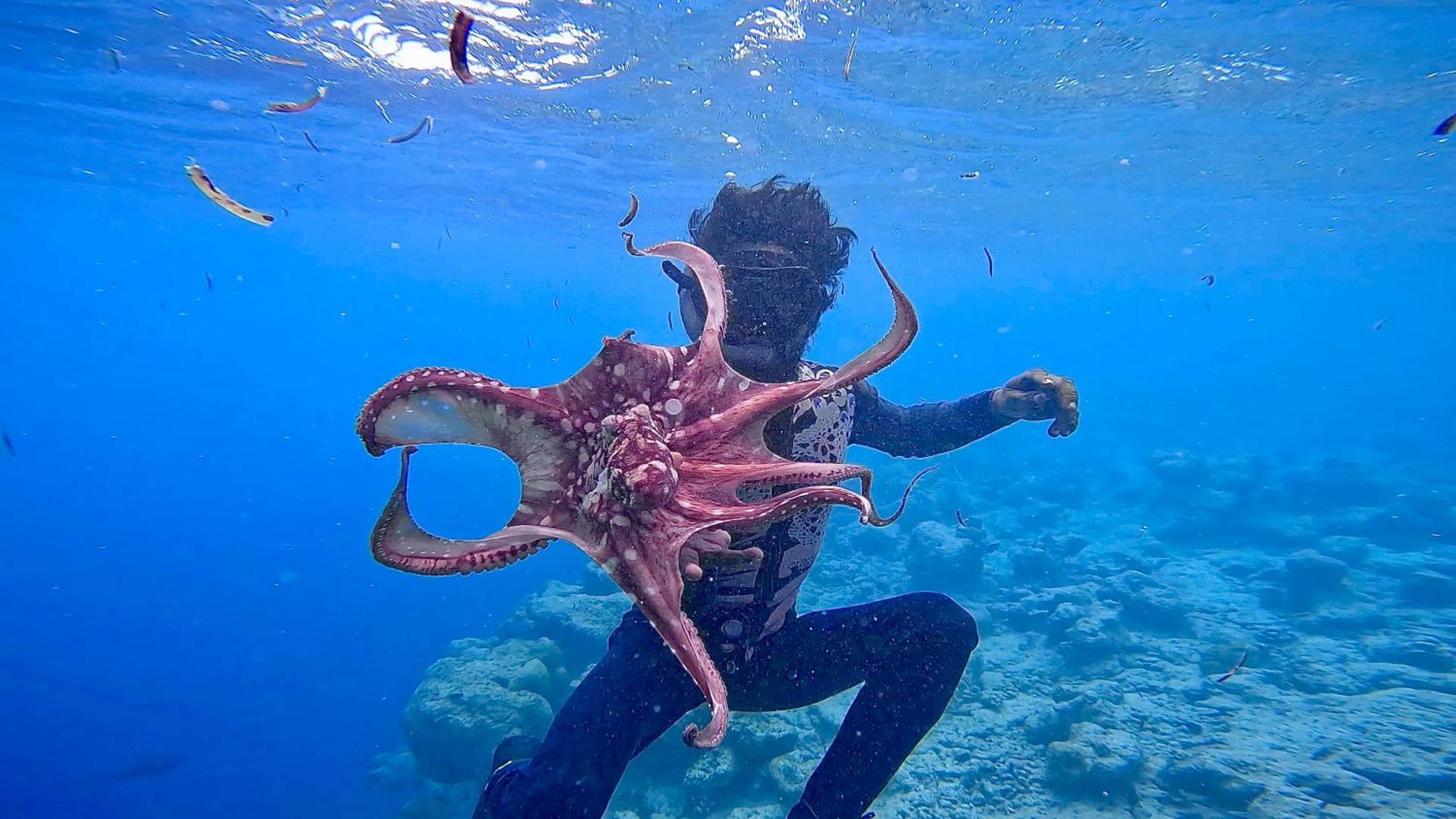 ホテル Konut By Thakuru グライドゥ エクステリア 写真